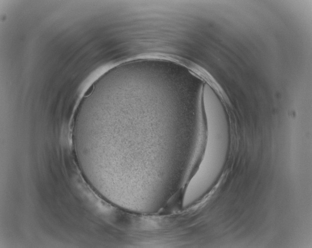 X0000083580908200702231652