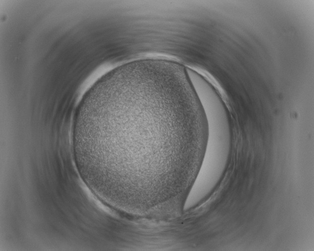 X0000083580910200702231652