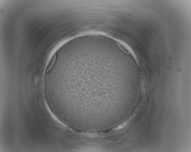 X0000083580911200702231652