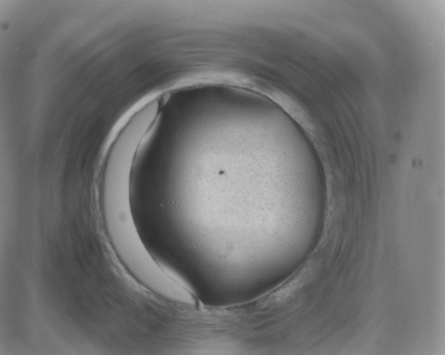 X0000083580912200702231652