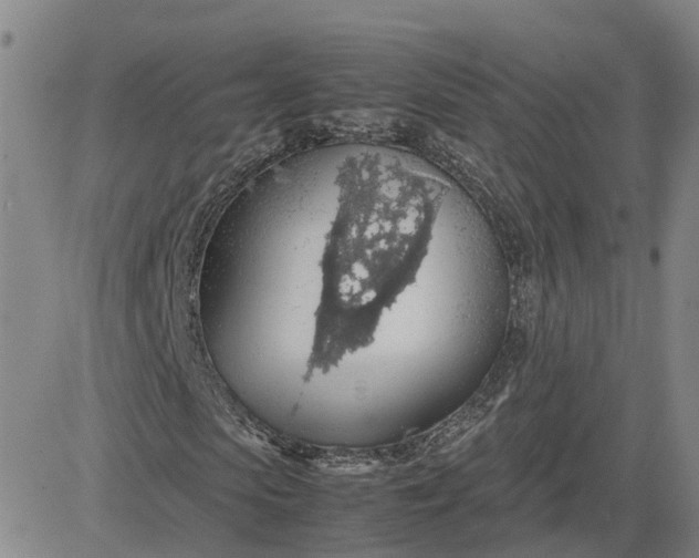 X0000083580913200702231651