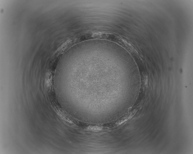 X0000083580914200702231651