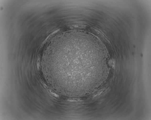 X0000083580915200702231651