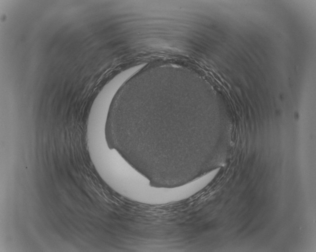 X0000083580916200702231651