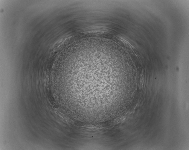 X0000083580917200702231651