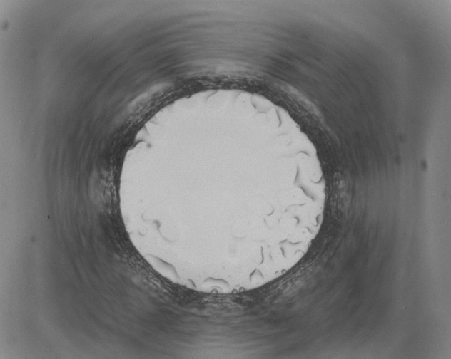 X0000083580918200702231651