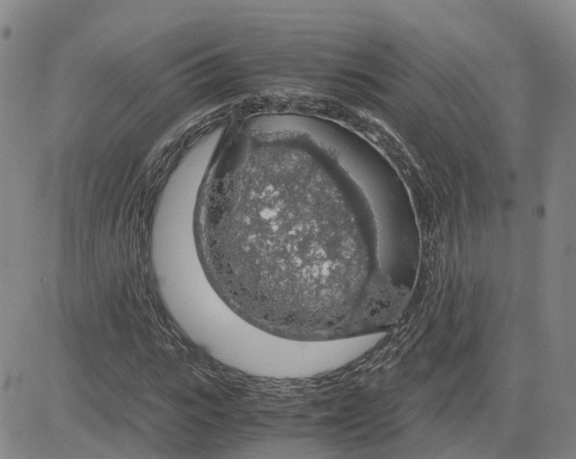 X0000083580919200702231651