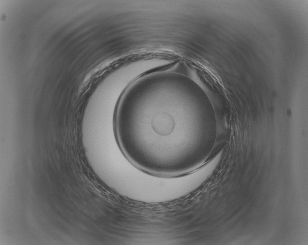 X0000083580920200702231651