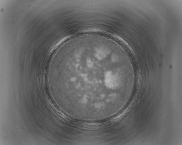 X0000083580921200702231651