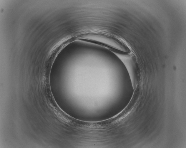 X0000083580922200702231651