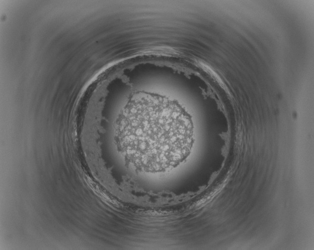 X0000083580923200702231651