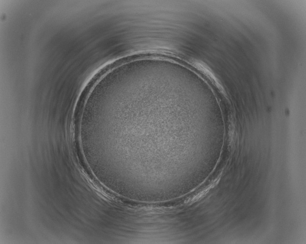 X0000083580924200702231651