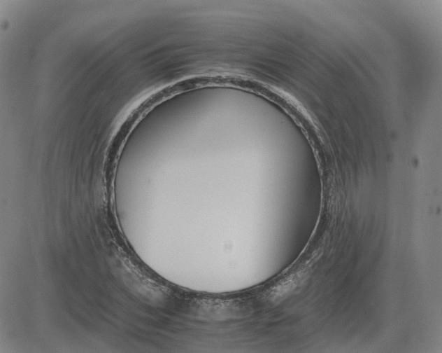 X0000083580927200702231651