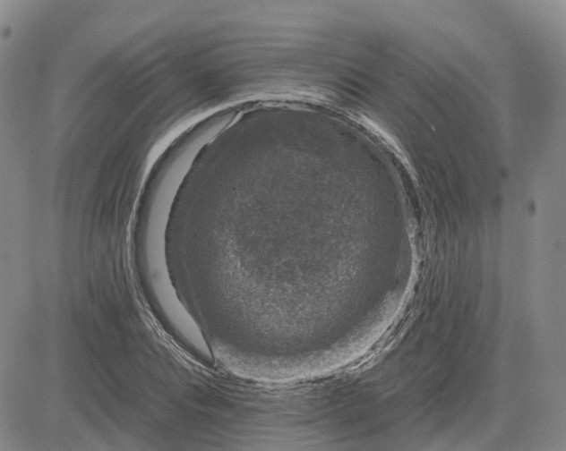 X0000083580928200702231651