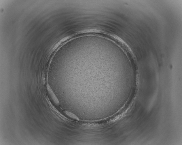 X0000083580929200702231651