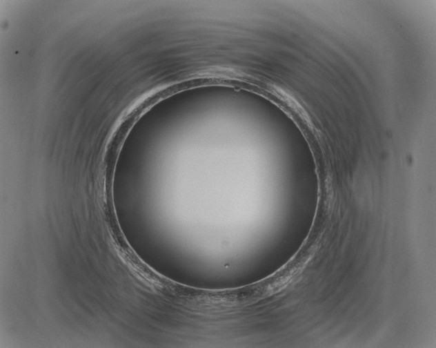 X0000083580931200702231651