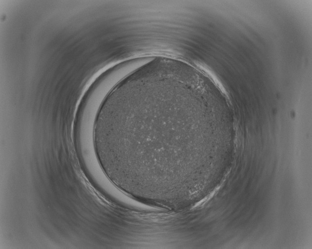 X0000083580932200702231651