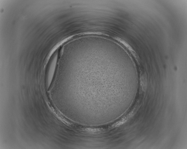 X0000083580933200702231651