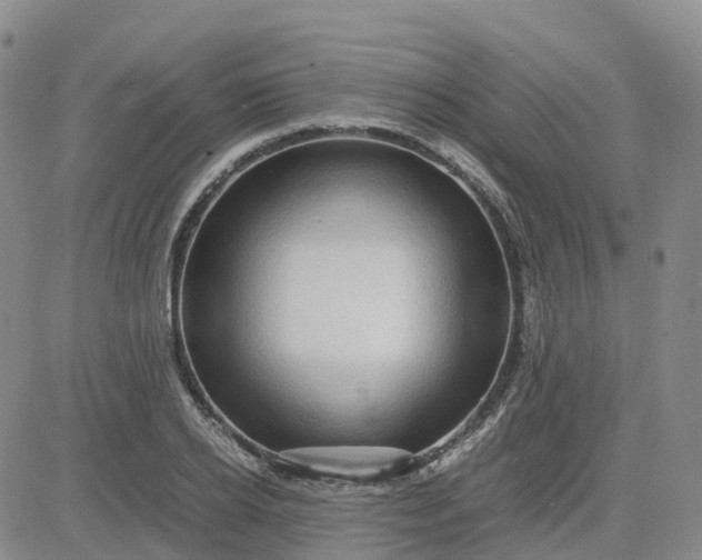 X0000083580934200702231651