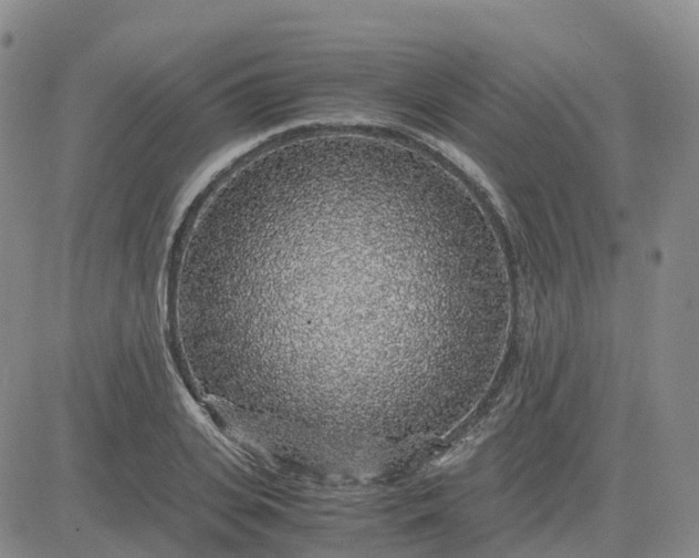 X0000083580935200702231651