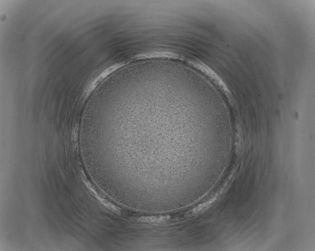 X0000083580937200702231651