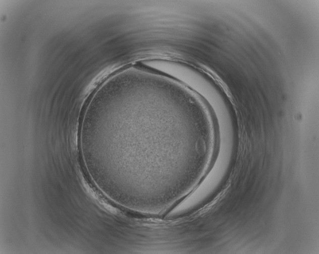 X0000083580938200702231651