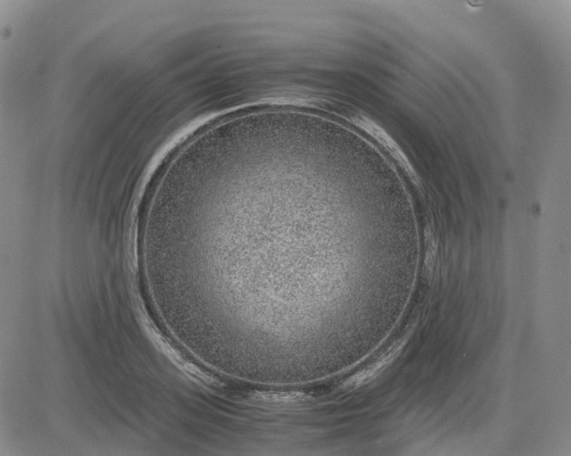 X0000083580939200702231651