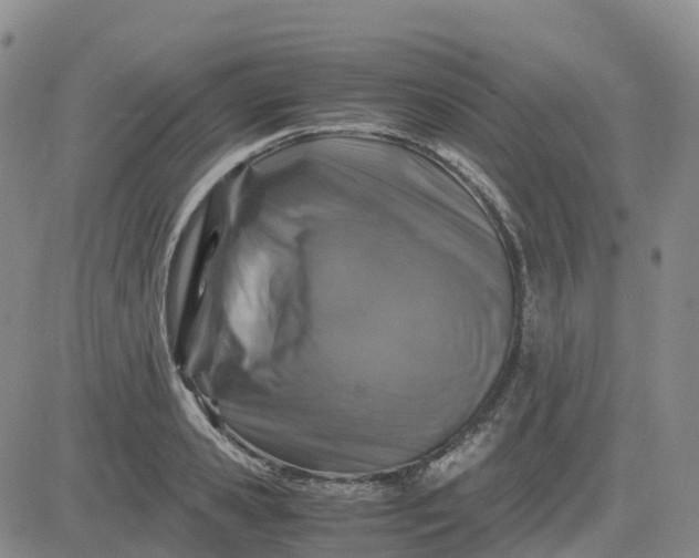 X0000083580941200702231651