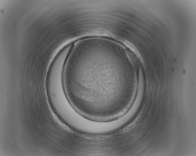 X0000083580942200702231652