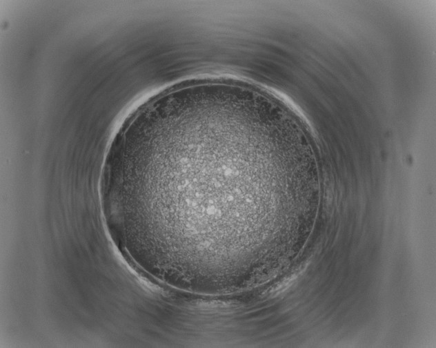 X0000083580943200702231652