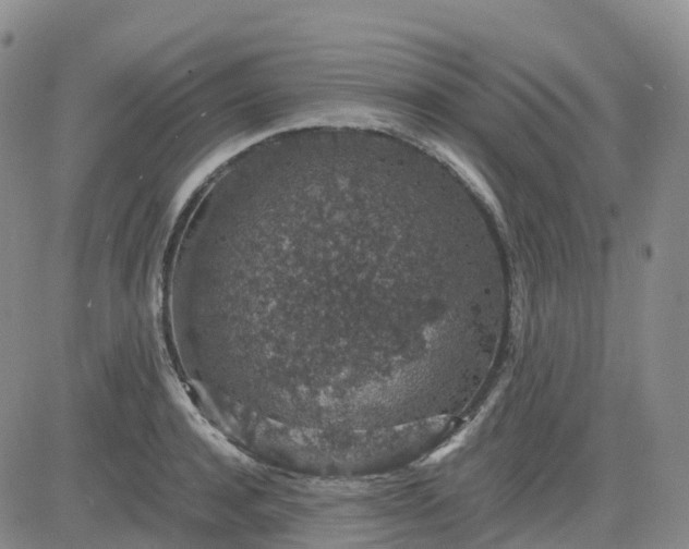 X0000083580944200702231652