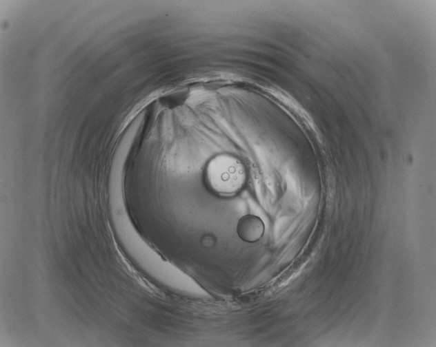 X0000083580945200702231652