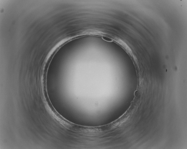 X0000083580947200702231652