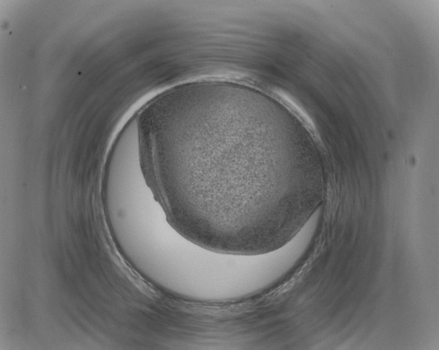 X0000083580948200702231652