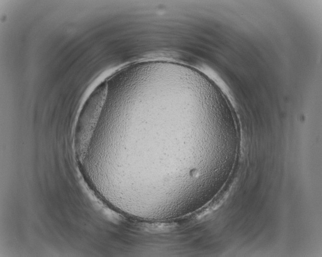 X0000083580949200702231652