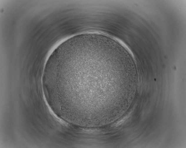 X0000083580951200702231652