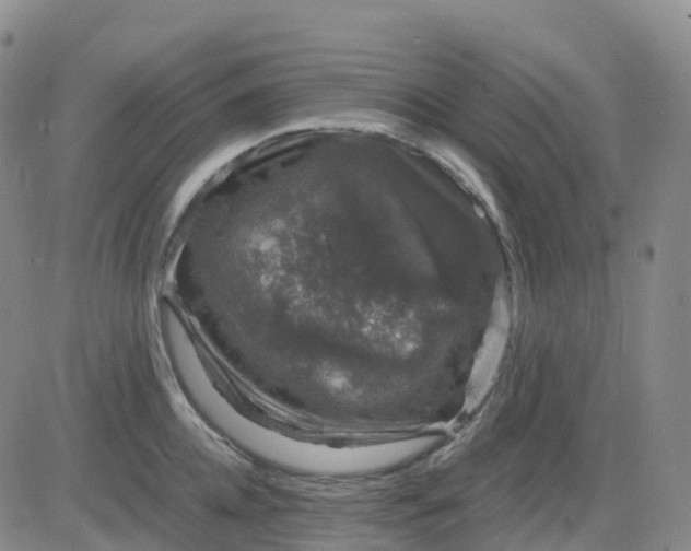 X0000083580952200702231652