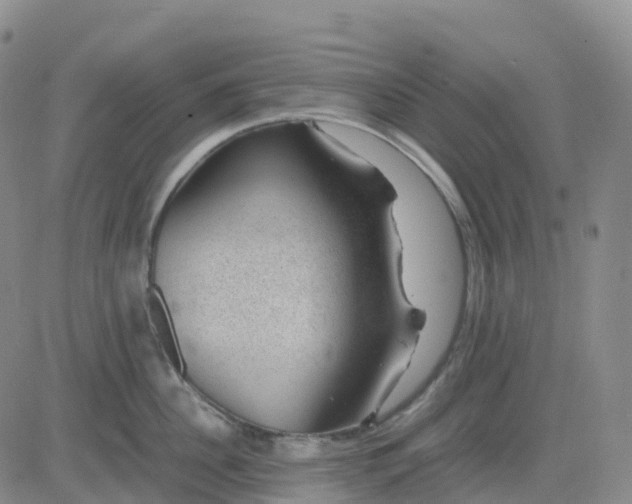 X0000083580956200702231652