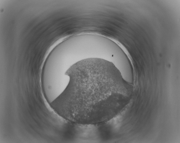 X0000083580957200702231652