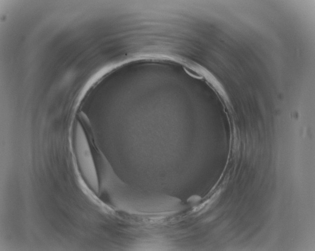 X0000083580958200702231652