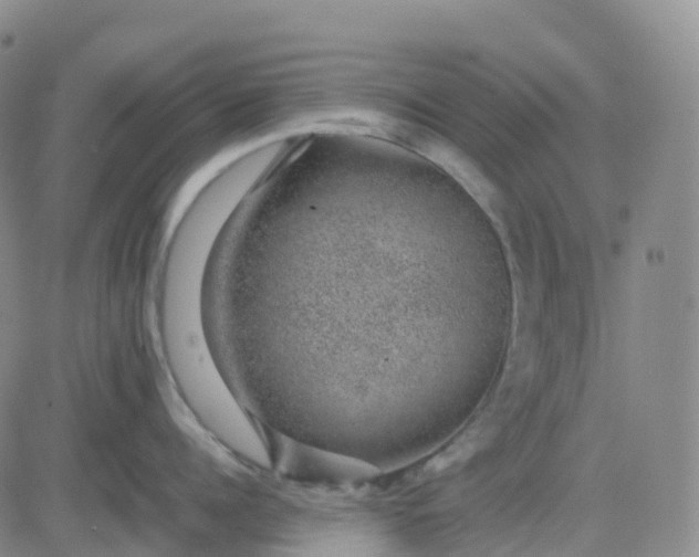 X0000083580960200702231652