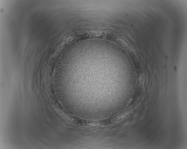 X0000083580961200702231651