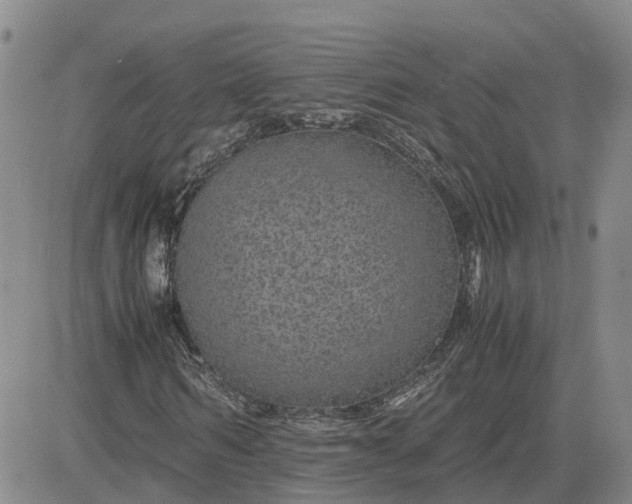 X0000083580962200702231651