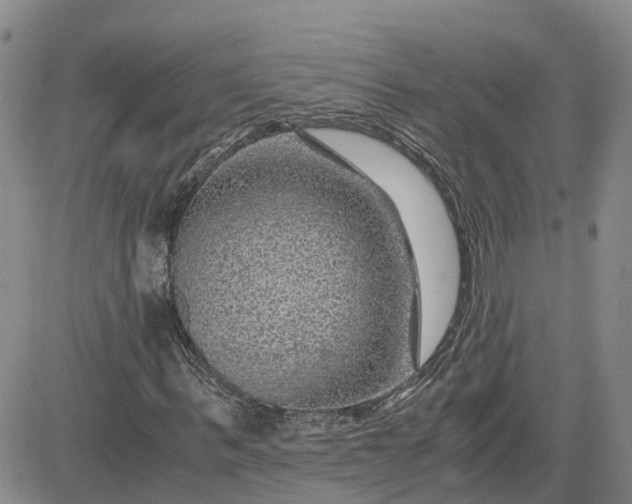 X0000083580963200702231651