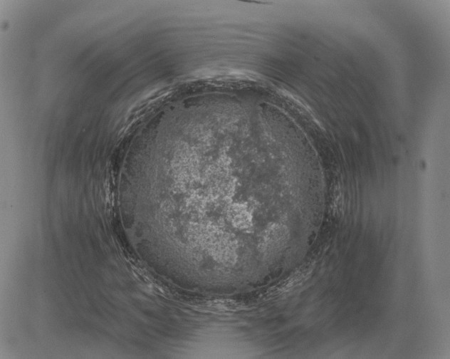 X0000083580966200702231651