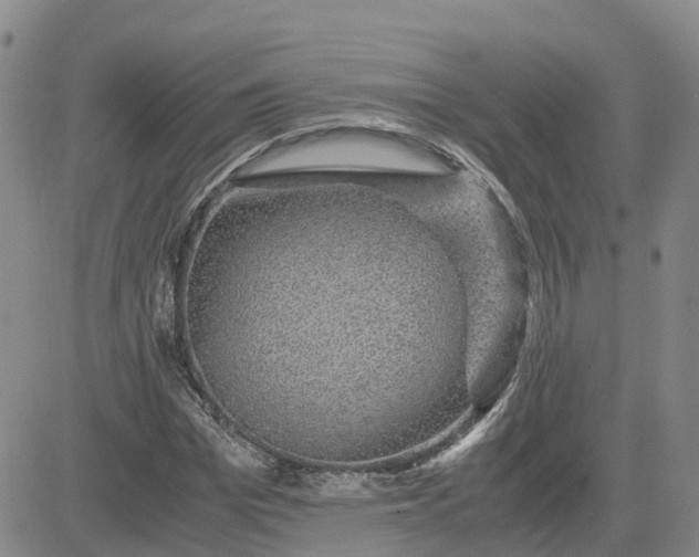 X0000083580969200702231651