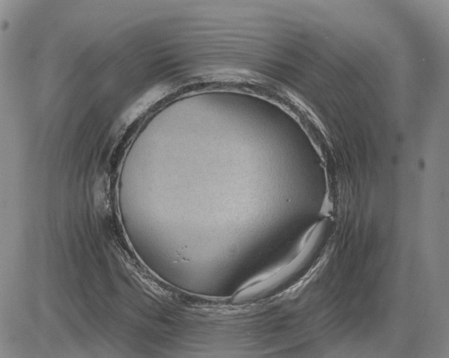 X0000083580970200702231651