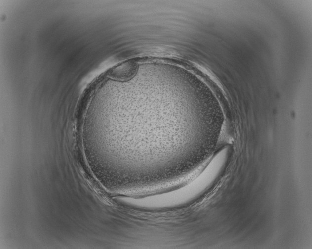 X0000083580971200702231651