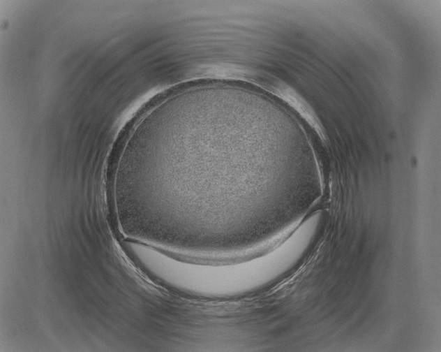 X0000083580972200702231651