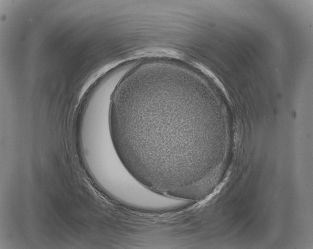 X0000083580973200702231651